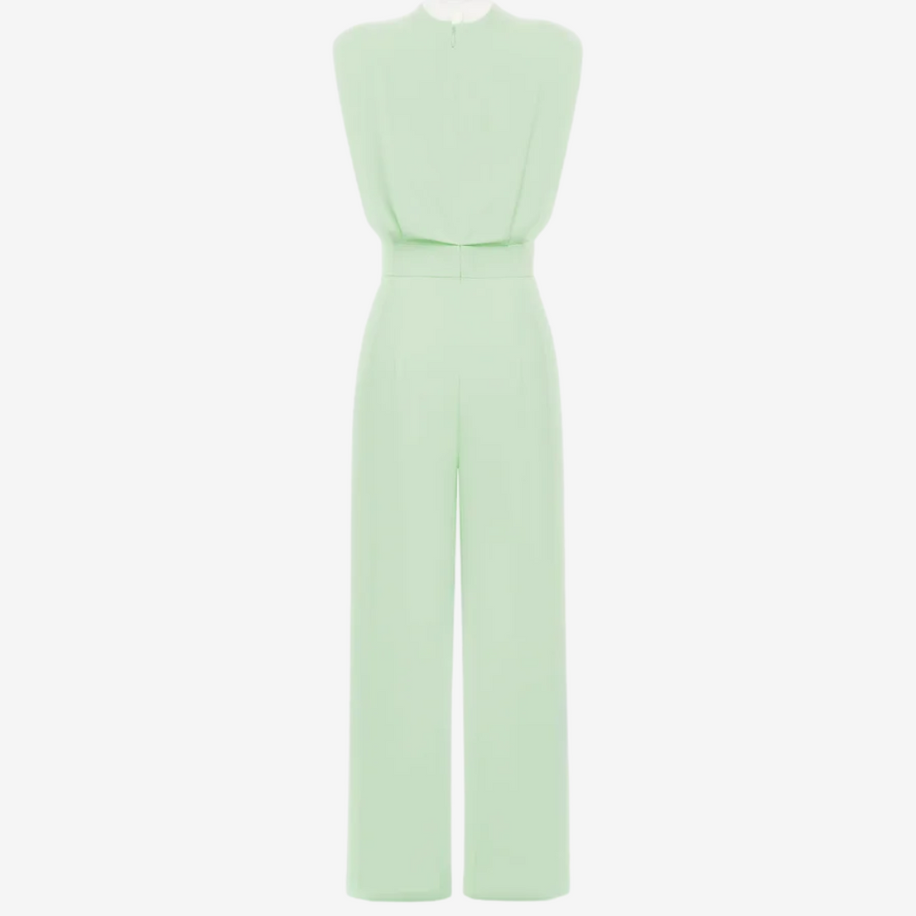 Ariia Jumpsuit with Defined Waist